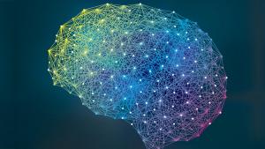 Social MIND Project Blends Machine Learning and Social Science